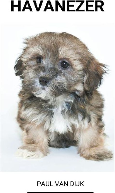 Havanezer
