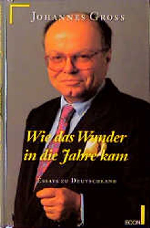 Wie das Wunder in die Jahre kam. Essays zu Deutschland