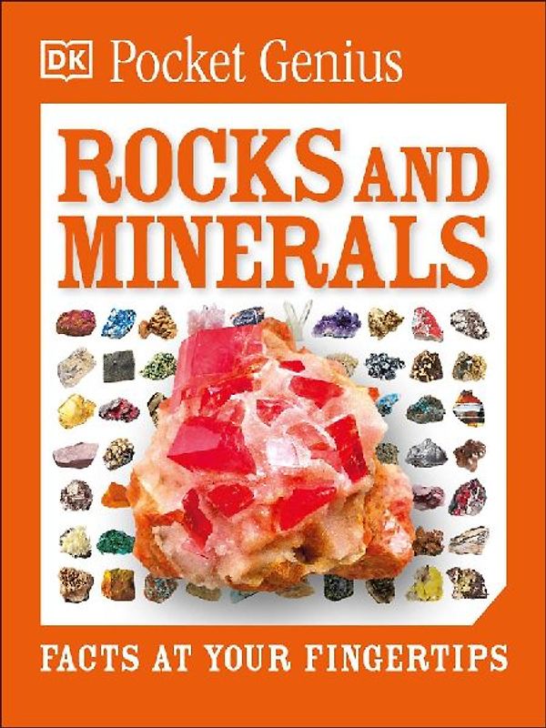 Pocket Genius Rocks and Minerals