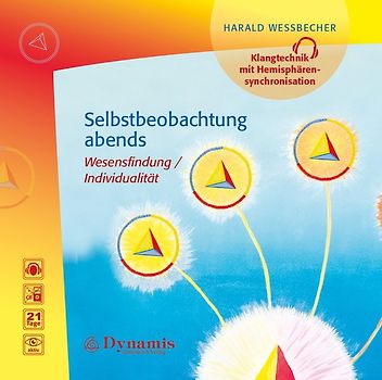 Selbstbeobachtung abends