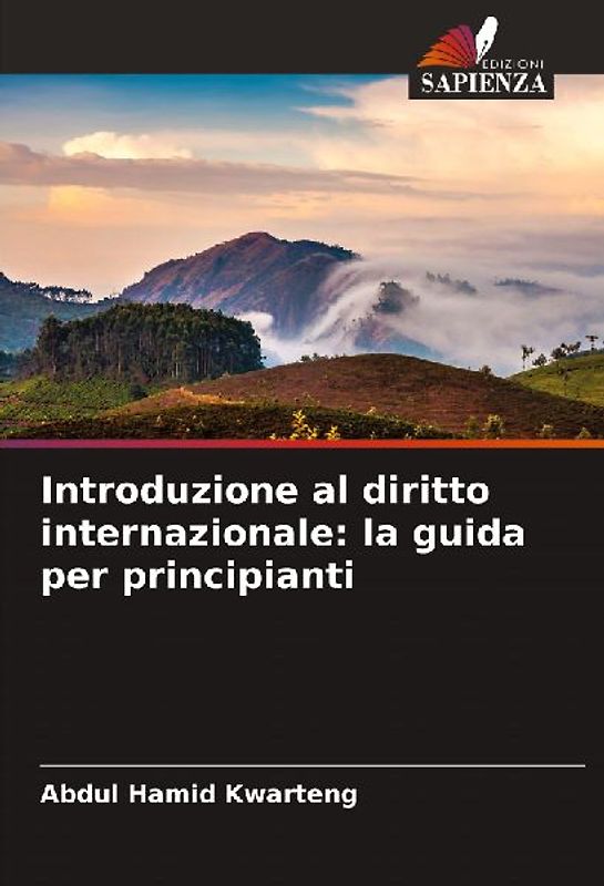 Introduzione al diritto internazionale: la guida per principianti