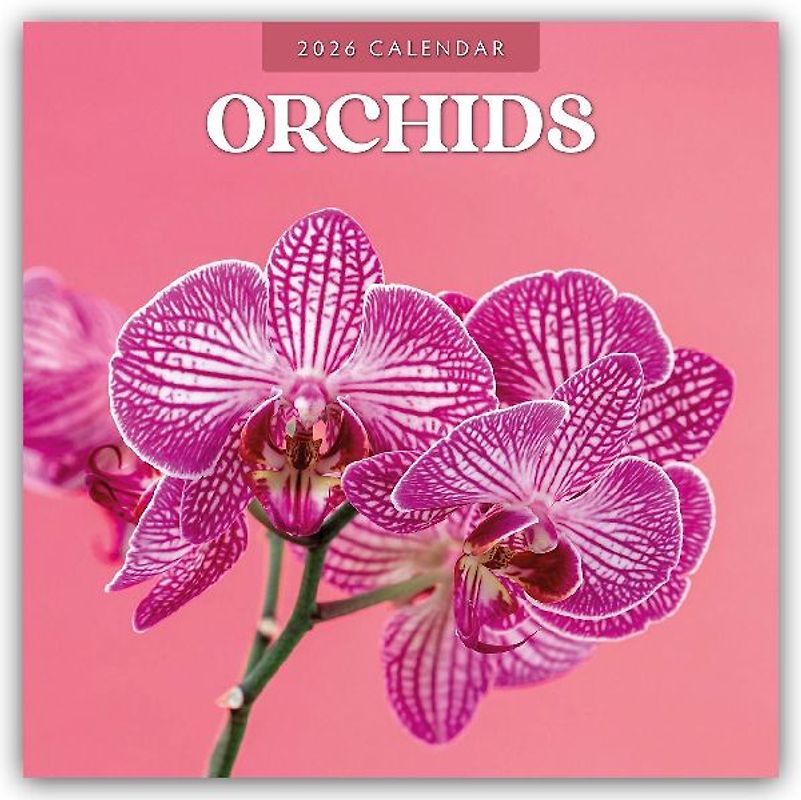 Orchids  2026 Square Wall Calendar