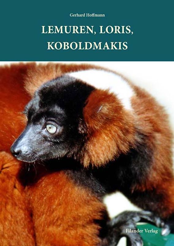 Lemuren, Loris, Koboldmakis