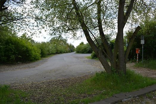 Die Reise zu meinen Eltern