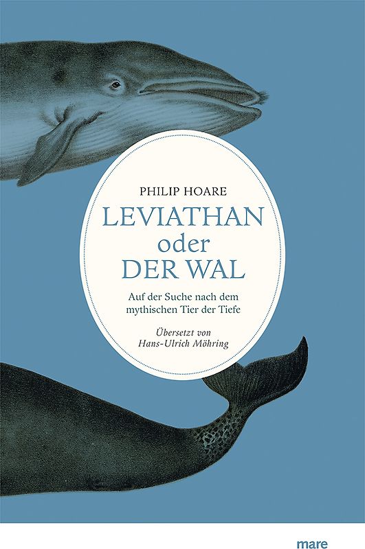 Leviathan oder Der Wal