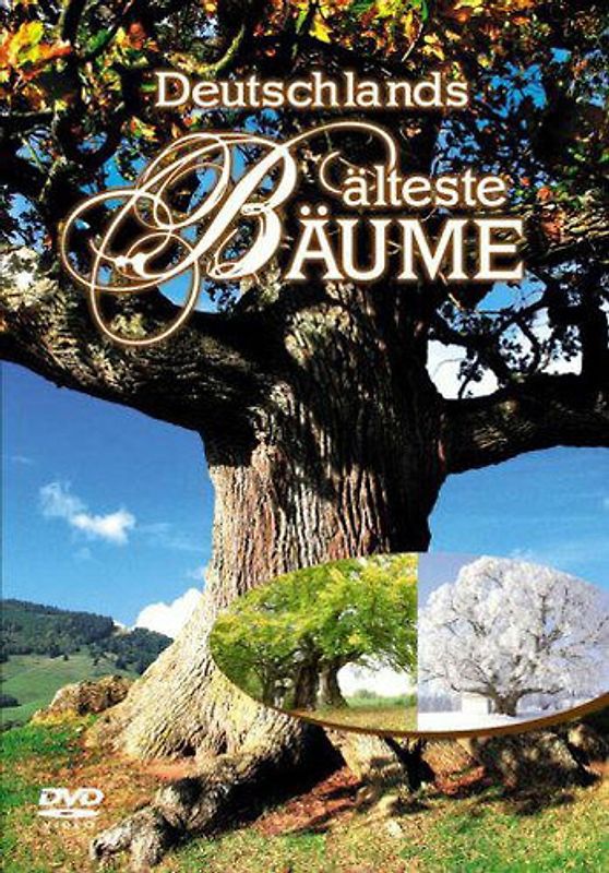 Deutschland älteste Bäume DVD