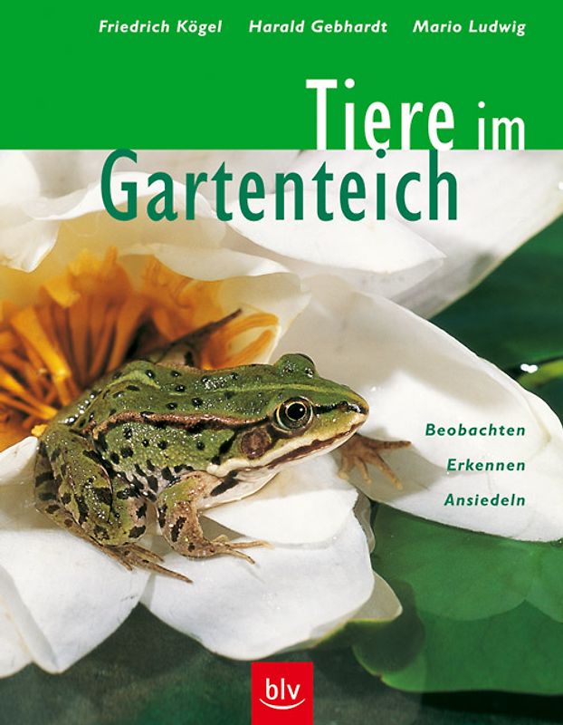 Tiere im Gartenteich