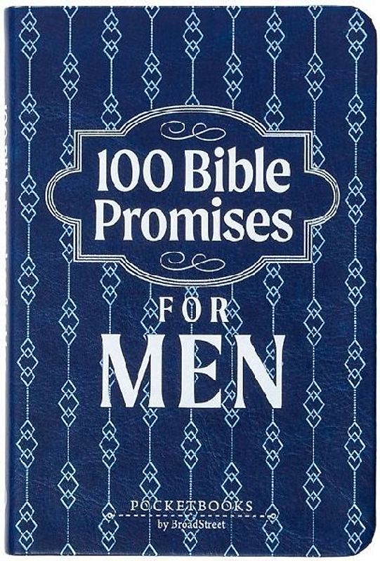 100 Bible Promises for Men