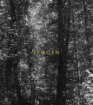 Skogen (Yale Art Gallery) - Adams, Robert
