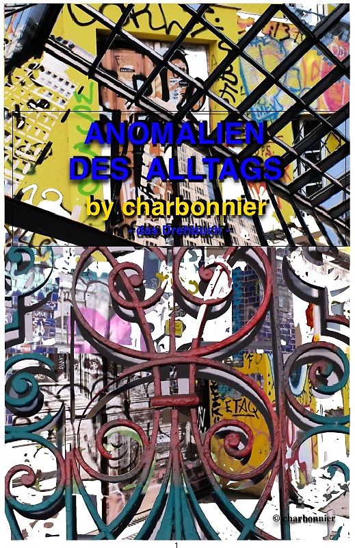 Anomalien des Alltags