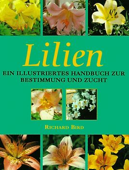 Lilien