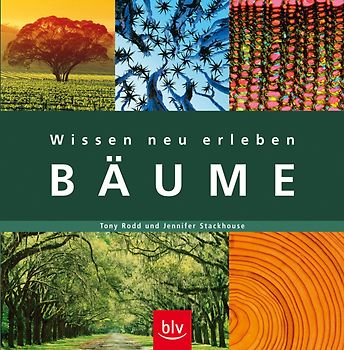 Wissen neu erleben: Bäume