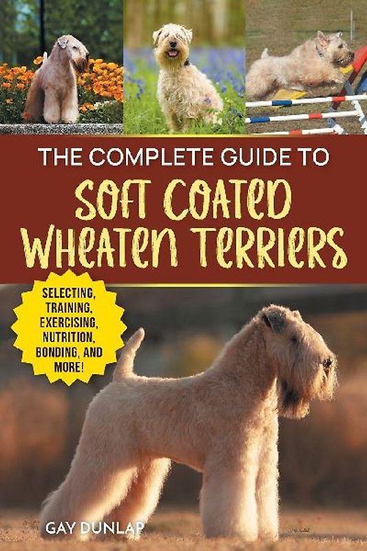 The Complete Guide to Soft Coated Wheaten Terriers
