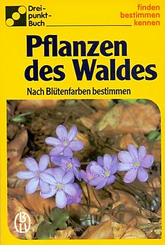 Pflanzen des Waldes. Nach Blütenfarben bestimmen