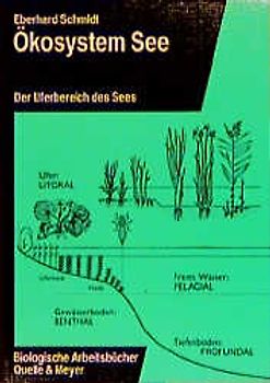 Ökosystem See