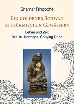 Ein goldener Schwan in stürmischen Gewässern