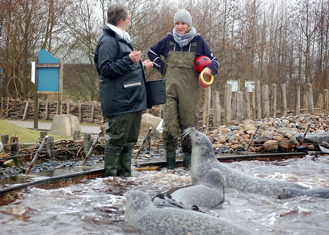 Landpartie: Im Norden unterwegs [3 DVDs] DVD