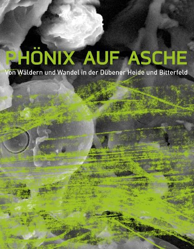 Phönix auf Asche