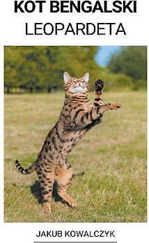 Kot Bengalski (Leopardeta)
