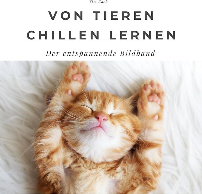 Von Tieren chillen lernen