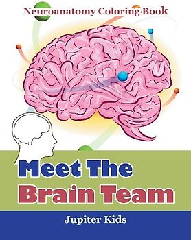 Meet The Brain Team