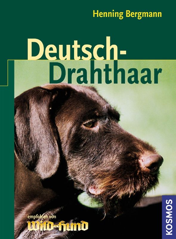 Deutsch-Drahthaar
