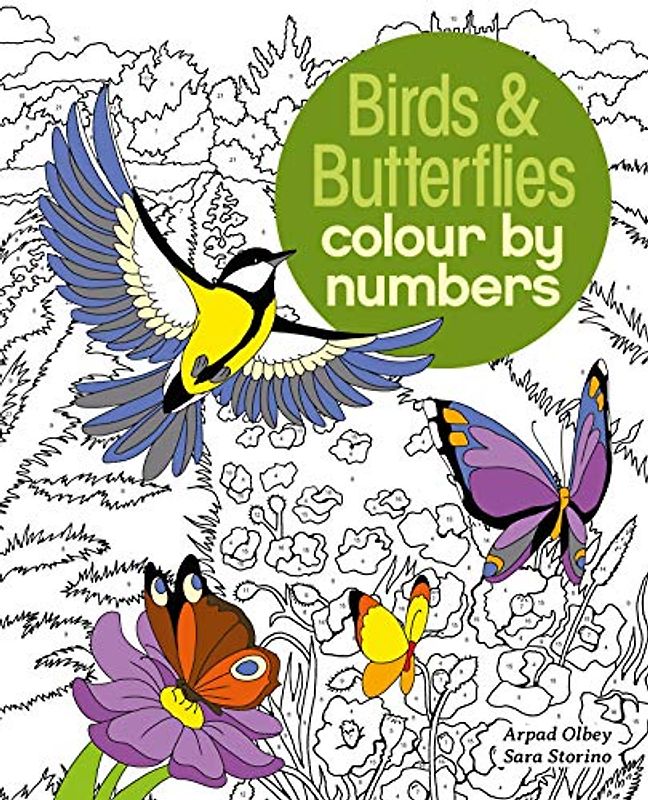 Olbey, A: Birds & Butterflies Colour by Numbers (Arcturus Colour by Numbers Collection)