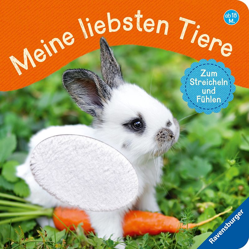 Meine liebsten Tiere: Zum Streicheln und Fühlen