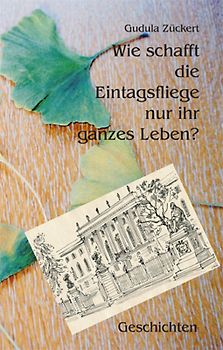 Wie schafft die Eintagsfliege nur ihr ganzes Leben?