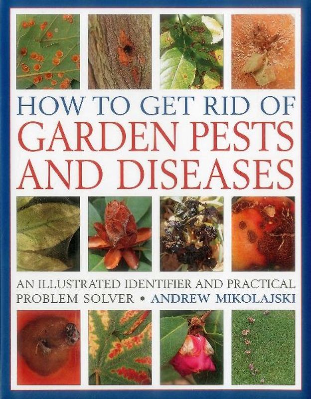How to Get Rid of Garden Pests and Diseases