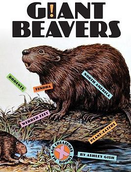 Giant Beavers