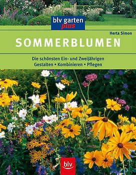 Sommerblumen