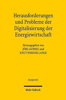 Herausforderungen und Probleme der Digitalisierung der Energiewirtschaft