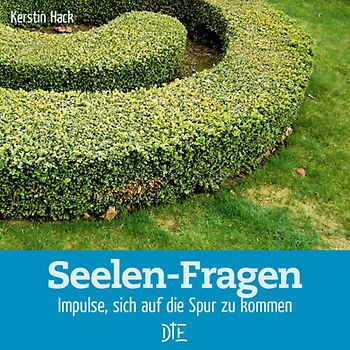 Seelen-Fragen. Impulse, sich auf die Spur zu kommen