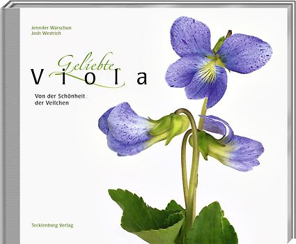 Geliebte Viola