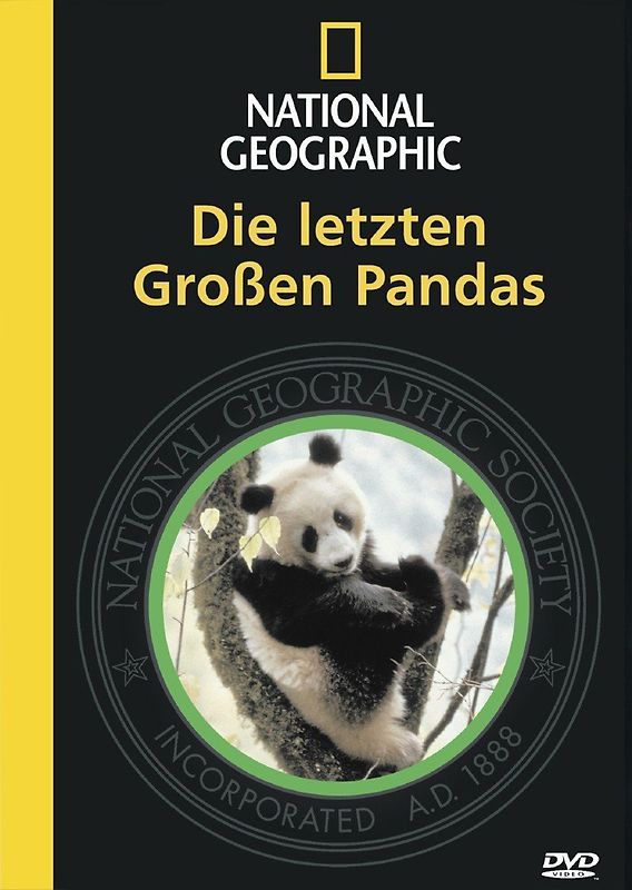 letzten großen Pandas, Die DVD