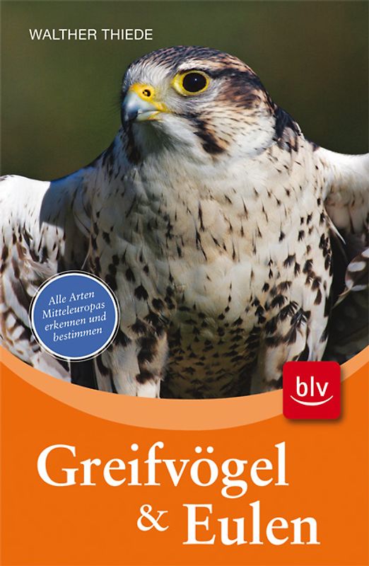 Greifvögel und Eulen