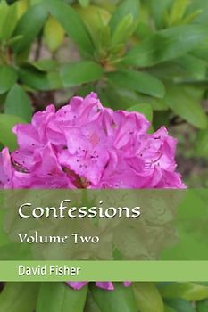 Confessions: Volume Two