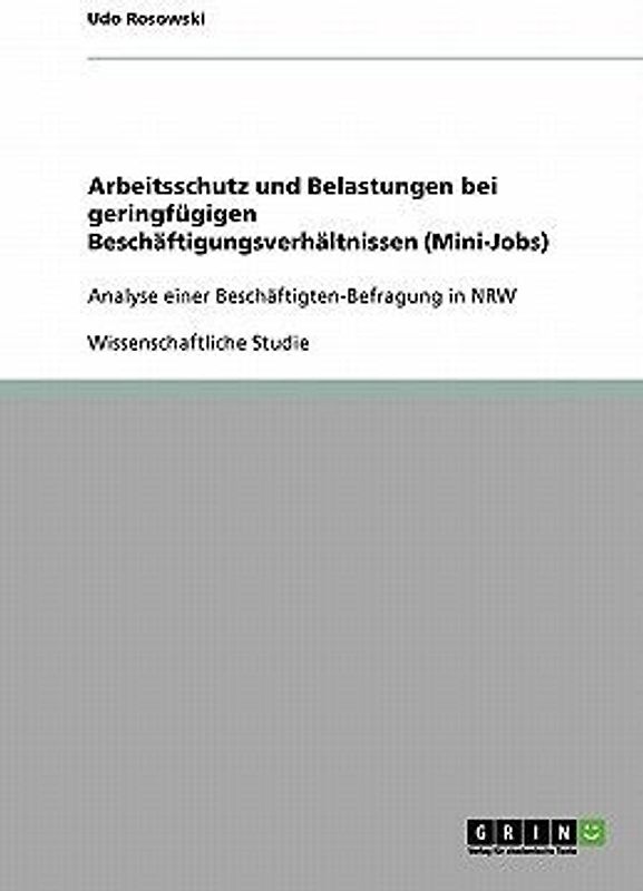 Arbeitsschutz und Belastungen bei geringfügigen Beschäftigungsverhältnissen (Mini-Jobs)