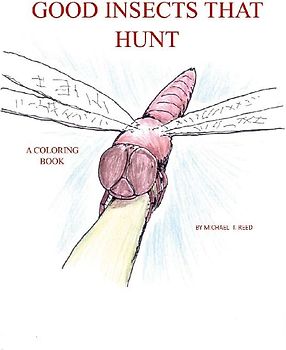 Good Insects that Hunt