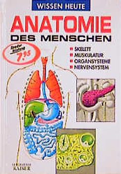 Wissen Heute auf einen Blick: Anatomie des Menschen - Skelett, Muskulatur, Orgensysteme, Nervensystem - Vincente Muedra Baixauli [Auflage 2002]