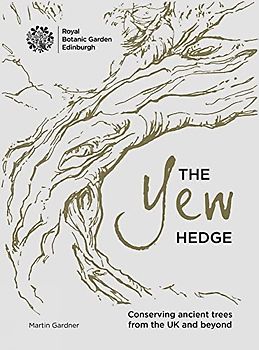 The Yew Hedge