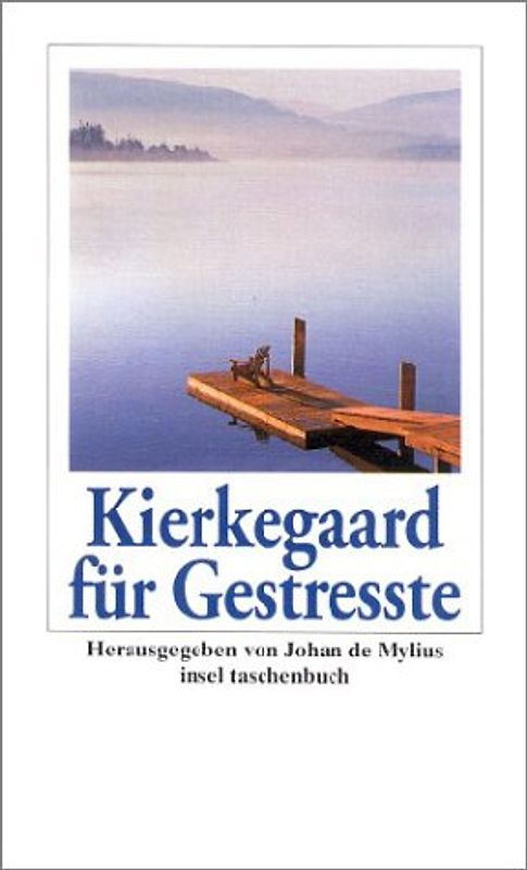 Kierkegaard für Gestreßte