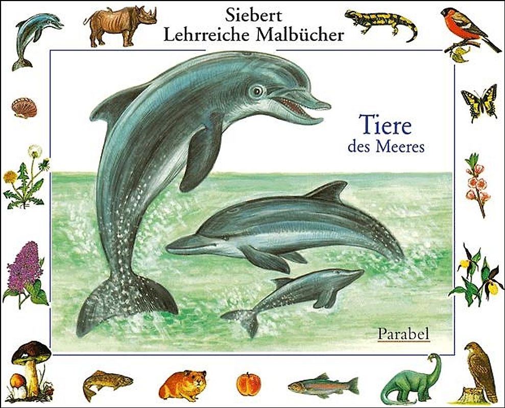 Tiere des Meeres. Malbuch