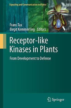 Receptor-like Kinases in Plants