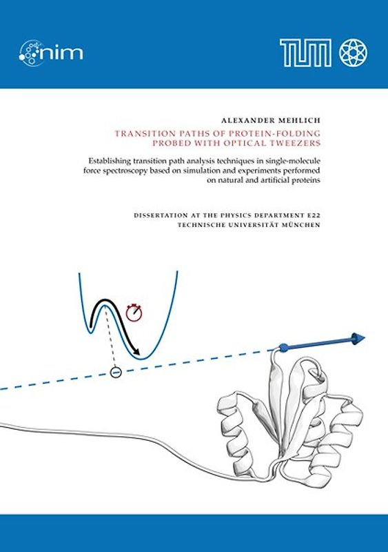 Transition paths of protein-folding probed with optical tweezers