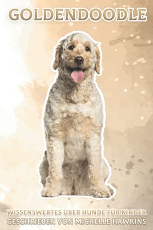 Goldendoodle: Wissenswertes über Hunde für Kinder #42