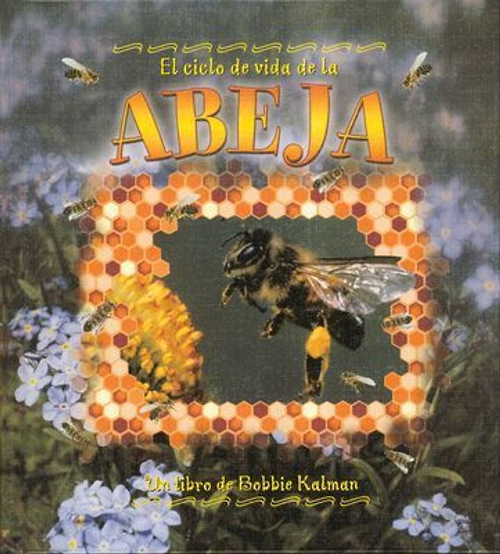 El Ciclo de Vida de la Abeja (the Life Cycle of a Honeybee)