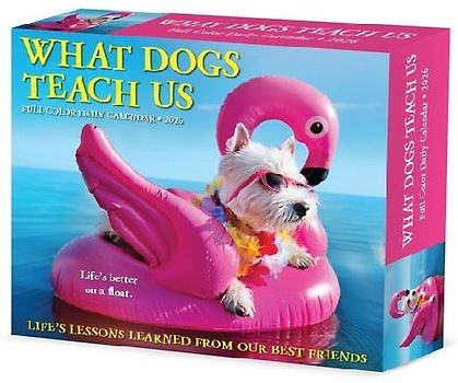 What Dogs Teach Us 2026 5.4 X 6.2 Box Calendar