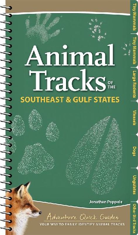Animal Tracks of the Southeast & Gulf States
